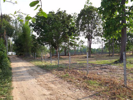 ขายที่ดินสวยติดอ่างน้ำขนาดใหญ่-3-ไร่-53-ตารางวา-น้ำแพร่-หางดง-เชียงใหม่