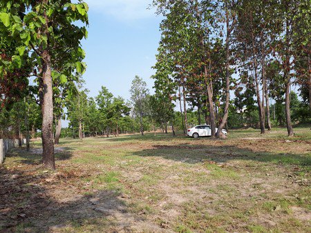 ขายที่ดินสวยติดอ่างน้ำขนาดใหญ่-3-ไร่-53-ตารางวา-น้ำแพร่-หางดง-เชียงใหม่