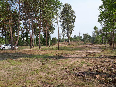 ขายที่ดินสวยติดอ่างน้ำขนาดใหญ่-3-ไร่-53-ตารางวา-น้ำแพร่-หางดง-เชียงใหม่