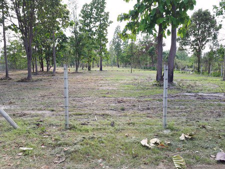 ขายที่ดินสวยติดอ่างน้ำขนาดใหญ่-3-ไร่-53-ตารางวา-น้ำแพร่-หางดง-เชียงใหม่