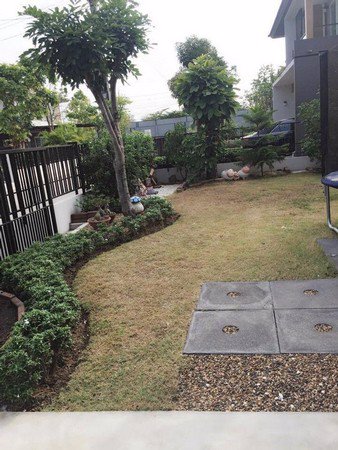 ขายบ้านเดี่ยว-2ชั้น-ปิ่นเกล้า-สาย2-ติดถนนพุทธมนฑลสาย2-เนื้อที่-77-ตารางวา