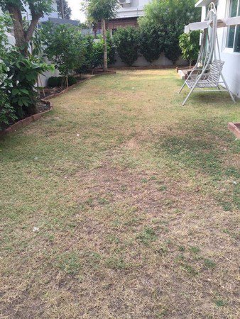 ขายบ้านเดี่ยว-2ชั้น-ปิ่นเกล้า-สาย2-ติดถนนพุทธมนฑลสาย2-เนื้อที่-77-ตารางวา