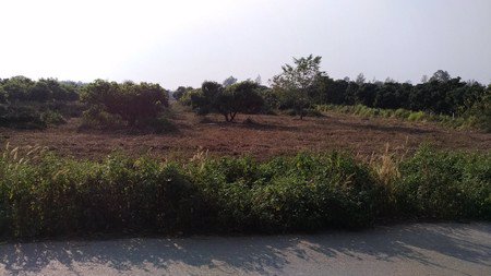 ขายที่ดินเปล่า-จังหวัดเชียงใหม่-ที่สวยมองเห็นวิวภูเขา