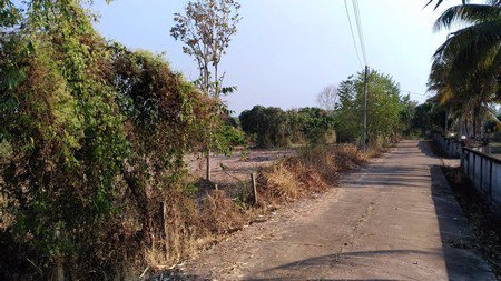 ขายที่ดินเปล่า-จังหวัดเชียงใหม่-ที่สวยมองเห็นวิวภูเขา