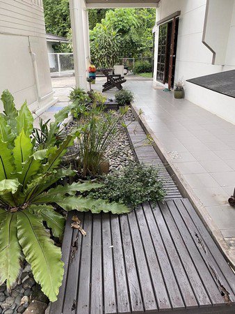 ขายบ้านพร้อมที่ดิน-109-ตรว-ตรงข้าม-มเกษตร-ห่างจากถนนใหญ่งามวงศ์วาน-เพียง-40-ม