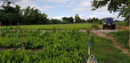 ที่ดินติดคลอง-ไฟฟ้า-3-เฟส-น้ำประปา-เหมาะทำรีสอร์ท-บ้านพัก-หรือเกษตรกรรม