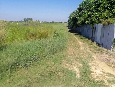 ขายที่ดินเปล่า-ทางเข้าวัดชนะสงสารพิทยาธร-อำเภอเมือง-จังหวัดฉะเชิงเทรา