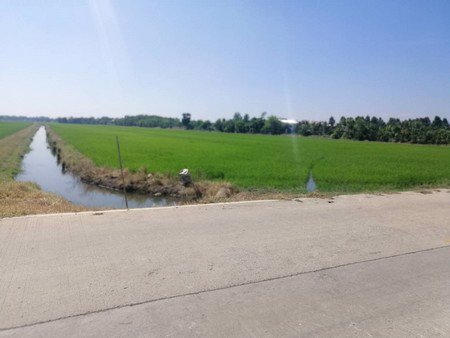 ขายที่ดินเปล่า-ทางเข้าวัดชนะสงสารพิทยาธร-อำเภอเมือง-จังหวัดฉะเชิงเทรา