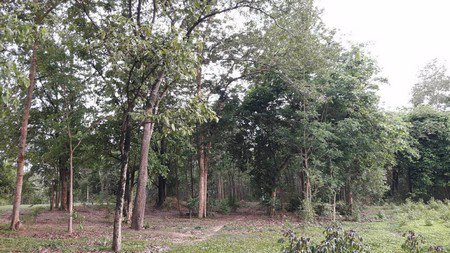 ขายที่ดินสร้างโรงงาน-23-ไร่-รวม-3-โฉนด-อเขาย้อย-จเพชรบุรี