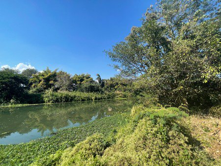 ขายที่ดินเปล่าริมแม่น้ำวัง-ตชมพู-อเมือง-จลำปาง-เนื้อที่รวม-3-ไร่-2-งาน-33-ตารางวา