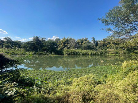 ขายที่ดินเปล่าริมแม่น้ำวัง-ตชมพู-อเมือง-จลำปาง-เนื้อที่รวม-3-ไร่-2-งาน-33-ตารางวา