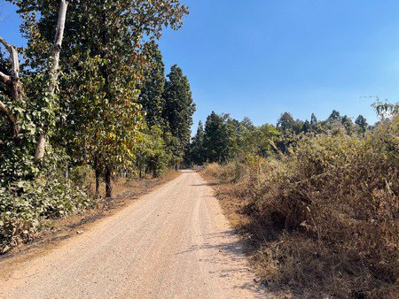 ขายที่ดินเปล่าติดโรงเรียนห้างฉัตรวิทยาและสวนสาธารณะอนันตยศ