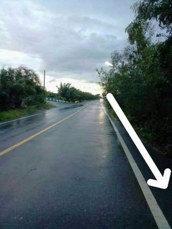 ขายที่นา-จังหวัดปทุมธานี-เนื้อที่-50-ไร่-ที่ดินติดถนนใหญ่