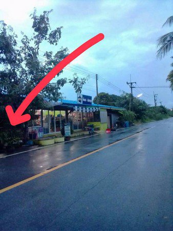 ขายที่นา-จังหวัดปทุมธานี-เนื้อที่-50-ไร่-ที่ดินติดถนนใหญ่