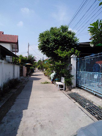 ขายบ้าน-2-หลัง-บ้านถนนสืบศิริ-นครราชสีมา-3-นอน-2-น้ำ-เนื้อที่-51-ตารางวา