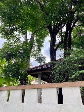 ขายบ้าน-133-ตรว-83-ล้าน-ชัยพฤกษ์-ลาดกระบัง