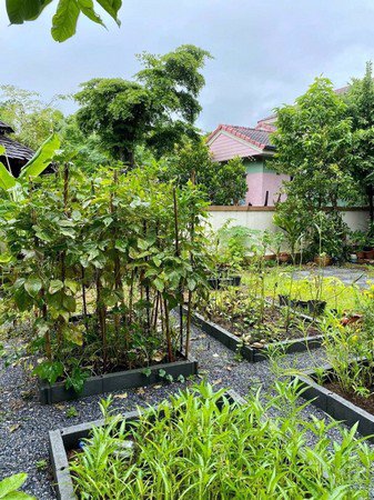 ขายบ้าน-133-ตรว-83-ล้าน-ชัยพฤกษ์-ลาดกระบัง