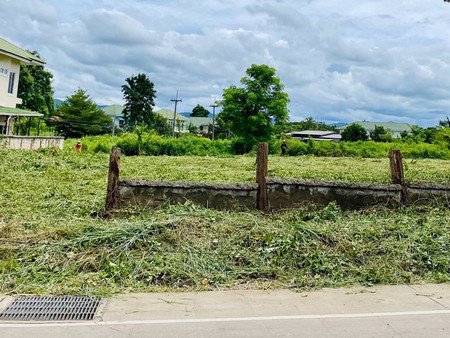 ขายที่ดิน-อแม่สอด-แม่ปะ-เขตเศรษฐกิจพิเศษ-เมืองชายแดนไทย-พม่า-จตาก