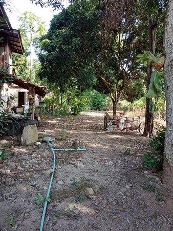 ขายด่วนที่ดินเนื้อที่กว้างเกือบ-2-งาน-บ้านปง-จังหวัดเชียงใหม่