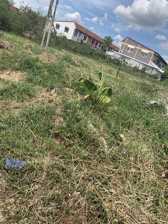 ขายที่ดินเปล่าหมู่บ้านบัวทองแลนด์-140-ตารางวา-ใกล้เซ็นทรัลพลาซา-เวสต์เกต-นนทบุรี