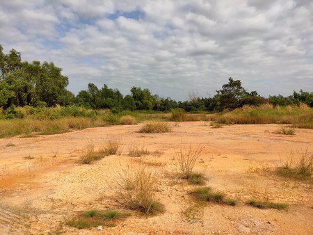 ขายที่ดินเปล่าติดริมแม่น้ำบางปะกง-วิวสวยมองไปเห็นวัดหลวงพ่อโสธร