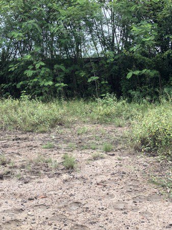 ขายที่ดินเปล่า-68-ตารางวา-พร้อมสร้างบ้าน-ตำบลศรีมหาโพธิ์-อำเภอนครชัยศรี-นครปฐม