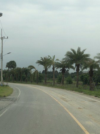 ขายที่ดินเปล่า-68-ตารางวา-พร้อมสร้างบ้าน-ตำบลศรีมหาโพธิ์-อำเภอนครชัยศรี-นครปฐม