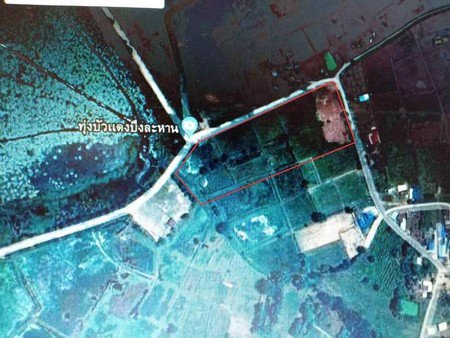 ขายที่ดินบึงละหาน-ติดหนองบัวแดง-11-ไร่-3-งาน-38-ตรวา-อจัตุรัส-จชัยภูมิ