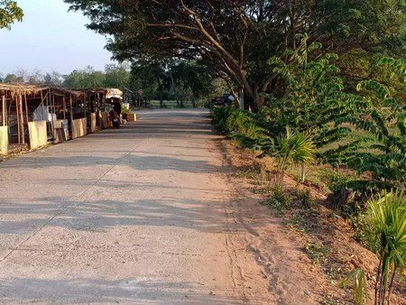 ขายที่ดินบึงละหาน-ติดหนองบัวแดง-11-ไร่-3-งาน-38-ตรวา-อจัตุรัส-จชัยภูมิ