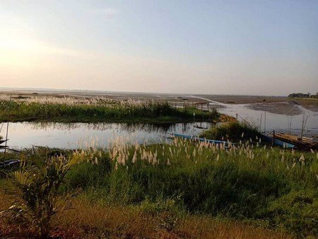 ขายที่ดินบึงละหาน-ติดหนองบัวแดง-11-ไร่-3-งาน-38-ตรวา-อจัตุรัส-จชัยภูมิ