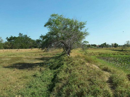 ขายที่ดินบึงละหาน-ติดหนองบัวแดง-11-ไร่-3-งาน-38-ตรวา-อจัตุรัส-จชัยภูมิ