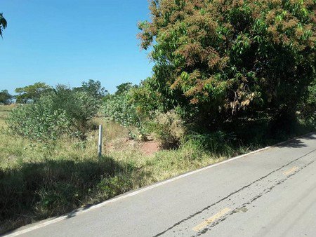 ขายที่ดินบึงละหาน-ติดหนองบัวแดง-11-ไร่-3-งาน-38-ตรวา-อจัตุรัส-จชัยภูมิ