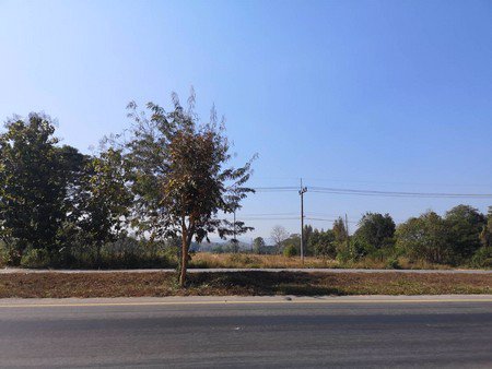 ขายด่วน-ที่ดินเปล่าติดถนนพหลโยธินขนาด-38-ไร่-องาว-จลำปาง