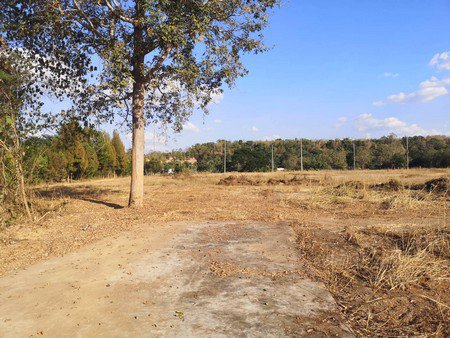 ขายด่วน-ที่ดินเปล่าติดถนนพหลโยธินขนาด-38-ไร่-องาว-จลำปาง