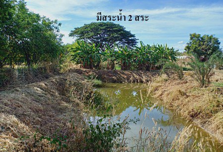 ขายสวนอินทผาลัม-25-ไร่-เอกสารสิทธิ์โฉนด-อหล่มสัก-จเพชรบูรณ์