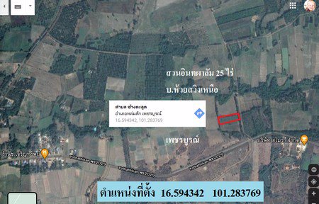 ขายสวนอินทผาลัม-25-ไร่-เอกสารสิทธิ์โฉนด-อหล่มสัก-จเพชรบูรณ์