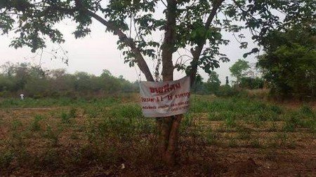 ขายด่วนที่ดินโฉนด-11-ไร่-1-งาน-76-ตรว-อเพ็ญ-จอุดรธานี