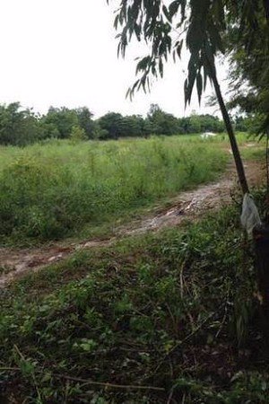 ขายด่วนที่ดินโฉนด-11-ไร่-1-งาน-76-ตรว-อเพ็ญ-จอุดรธานี