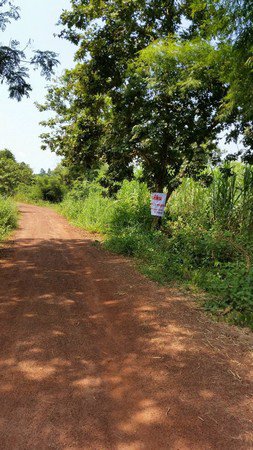 ขายด่วนที่ดินโฉนด-11-ไร่-1-งาน-76-ตรว-อเพ็ญ-จอุดรธานี