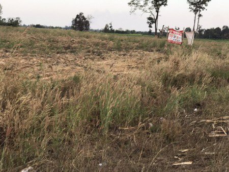 ขายด่วนที่ดินติดถนนอุดรบ้านผือจำนวน-10-ไร่-2-งาน-93-ตรวา