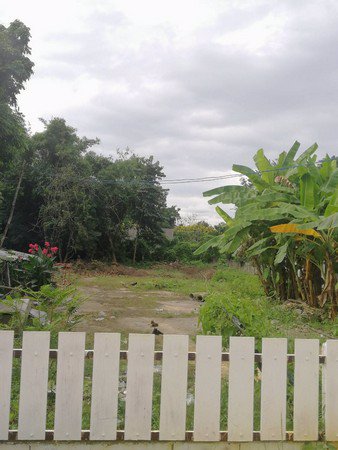 ขายที่ดินเปล่า-บ้านบ่อหิน-อำเภอสันทราย-จังหวัดเชียงใหม่