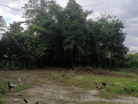 ขายที่ดินเปล่า-บ้านบ่อหิน-อำเภอสันทราย-จังหวัดเชียงใหม่