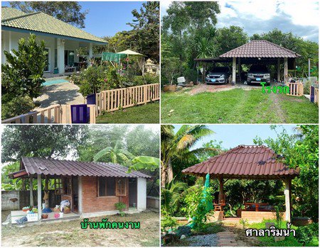 ขายบ้านสวนชั้นเดียวปลูกใหม่-บรรยากาศร่มรื่น-อำเภอสารภี-จังหวัดเชียงใหม่