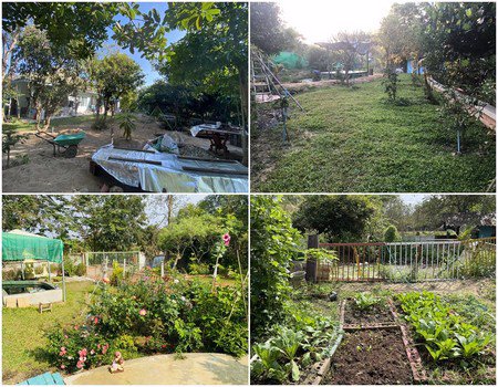 ขายบ้านสวนชั้นเดียวปลูกใหม่-บรรยากาศร่มรื่น-อำเภอสารภี-จังหวัดเชียงใหม่