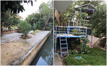 ขายบ้านสวนชั้นเดียวปลูกใหม่-บรรยากาศร่มรื่น-อำเภอสารภี-จังหวัดเชียงใหม่