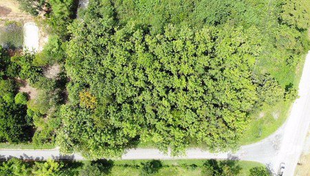 ขายด่วนที่ดินเปล่าทำเลสวยติดถนน-3งาน-24-ตรวา-อ-ภูกระดึง-จเลย