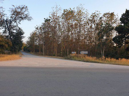 ขายด่วนที่ดินเปล่าทำเลสวยติดถนน-3งาน-24-ตรวา-อ-ภูกระดึง-จเลย