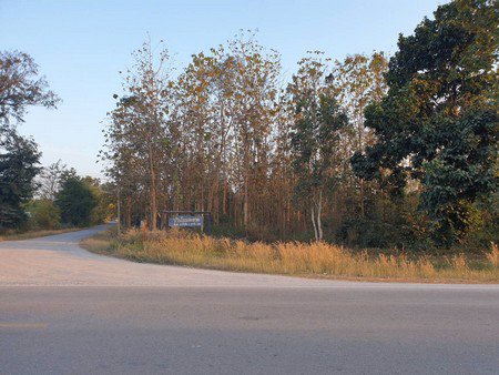 ขายด่วนที่ดินเปล่าทำเลสวยติดถนน-3งาน-24-ตรวา-อ-ภูกระดึง-จเลย