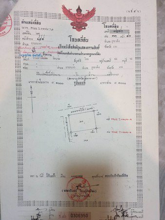 ขายด่วนที่ดินถมแล้วติดถนนสี่เลน-2-งาน-74-ตรวา-อภูกระดึง-จเลย