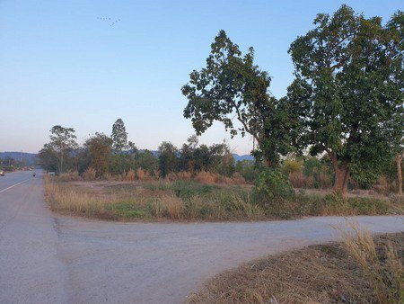 ขายด่วนที่ดินถมแล้วติดถนนสี่เลน-2-งาน-74-ตรวา-อภูกระดึง-จเลย